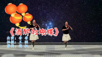 火爆DJ广场舞《酒醉的蝴蝶》舞姿优美大方，跳起来真好看！