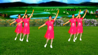 32步广场舞《老婆花》动作简单又好看，初学者喜欢跳的舞蹈