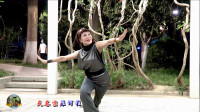紫竹院广场舞《鸿雁》，杜老师跳得苍劲有力又不失柔美！
