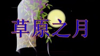 草原之月-dance-盛泽雨夜广场舞