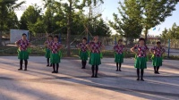 国际鲜花舞蹈队 手绢舞 张灯结彩广场舞