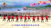 爱吾广场舞《临洮姑娘花一样》-原创广场舞水兵舞