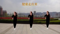2017年最新宜阳明萱广场舞健身舞【健康走出来】2
