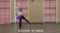 李琦广场舞《梅花泪》正背面分解 北舞网络视频