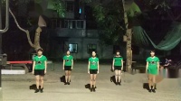 湛江北兴姐妹花广场舞《很任性》弹跳舞
32步舞