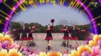 师桥公园亚亚广场舞2017年最新广场舞变队形【中华大花园】第六组