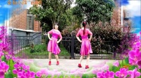 金盛小莉广场舞《春暖花开》简单双人对跳步子舞 户外姐妹版