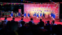 2017海南省陵水县文罗镇广场舞大赛冠军队伍威华代表队