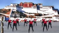 鹿城国际花园阿丽广场舞2013（演示版）——青藏高原