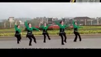 广场舞傣族舞广场舞教学视频 动作分解慢动作示范 视频下载