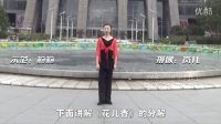 杭州西湖文化广场舞-花儿香（含分解）