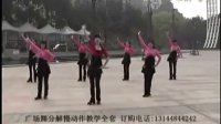 广场舞唱不完的情歌广场舞教学视频