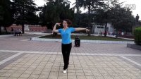 镇平彭雪枫广场舞 拉丁舞 民族舞 北京的金山上