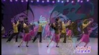 和谐中国广场舞视频