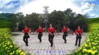 《63》肥矿集团 青馨明月广场舞 《西藏雪山》 编舞熊英