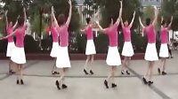 广场舞《雪莲姑娘》 视频