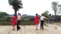 粉红色的回忆 分宜县双林镇湿地公园广场舞 芳英团队