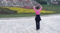 扬州诗画瘦西湖广场舞  黄玫瑰
