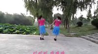 焦作枫叶广场舞——双子星