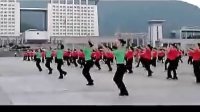 【广场舞】广场舞的基本步法