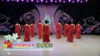 杨艺广场舞 舞蹈教学 老年舞  和谐中国