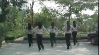 2013美久动动广场舞恰恰 桃花运 广场舞蹈视频大全 标清