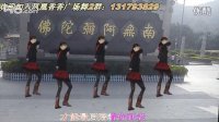 2013年最新凤凰香香广场舞—爱情神马价 正反面