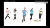 最炫民族风广场舞教学视频 标清 标清