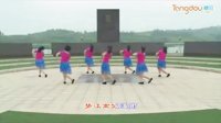 2013年最流行的广场舞舞蹈教学视频  