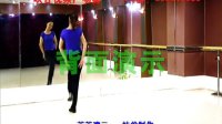 峡谷视频广场舞《新天仙配》含背面演示