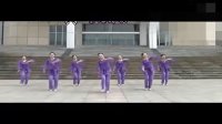紫蝶-踏歌广场舞 蝴蝶翩翩飞 欢快节奏
