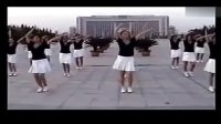 踏浪舞蹈视频-很时尚的广场舞教学 跳舞视频