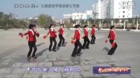 京山广场舞-中华全家福（新大地健身队表演）