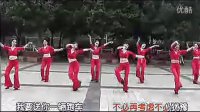 中老年佳宜的广场舞伤不起 周思萍广场舞教学视频
