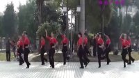 丽园广场舞－走天涯