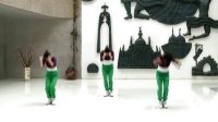 银川市踏歌起舞文化工程“幸福银川”广场民族健身舞DVD示范3