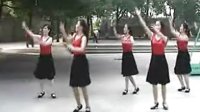 我愿广场舞中老年广场舞简单--慢节奏