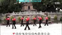 白马王子 广场舞教学 广场舞蹈视频大全