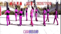 峡谷视频广场舞《凤凰飞》含背面演示