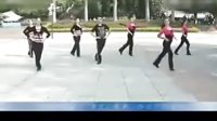 广场舞蹈视频大全 广场舞教学 廖弟广场舞专辑：伤不起 分解动 