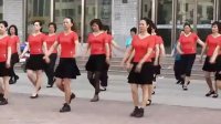 轻歌曼舞姐妹组合广场舞——黑山姑娘唱山歌