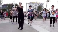 塘沽新港公园广场舞—落花