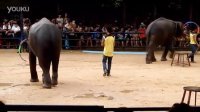 泰国暹罗大象广场之大象跳舞