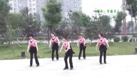 舞诗莲广场舞长风舞蹈健身队-黄梅戏对花