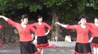 陆河县新田镇-丰山公园广场舞2012-（2）