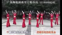 自由飞翔广场舞 (2)