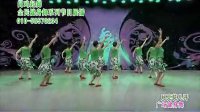 月亮花儿开-杨艺赵雅芝2012最新全民广场舞（原画）（流畅）