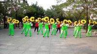 盛宏广场舞 社员都是向阳花