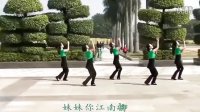 江南柳（合作版）-深圳久久广场舞