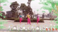 长沙中信舞蹈队广场舞--泰园乐
